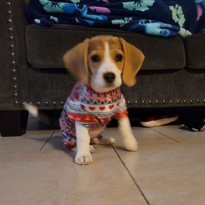 Meet your Posher, Lizette